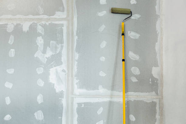 Best Black Mold Removal  in South Barrington, IL
