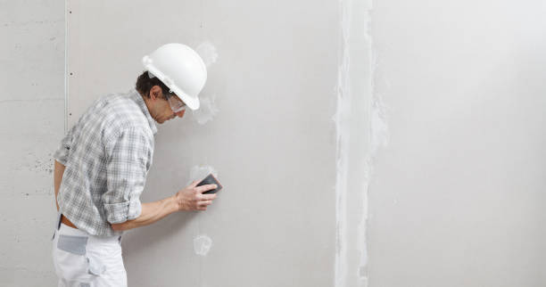 Best Commercial Mold Inspection  in South Barrington, IL