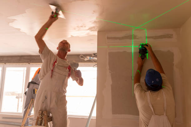 Best Emergency Mold Remediation  in South Barrington, IL