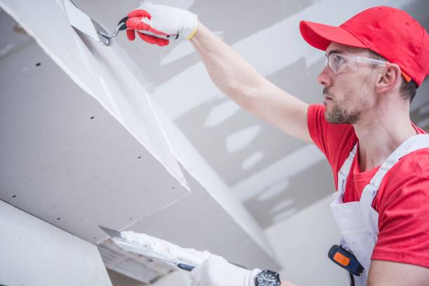 Best Mold Documentation for Insurance Claims  in South Barrington, IL